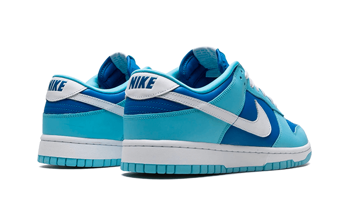 Nike
Dunk Low Argon - MAILLOT DE FOOT PRO