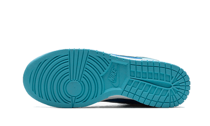 Nike

Dunk Low Argon - MAILLOT DE FOOT PRO