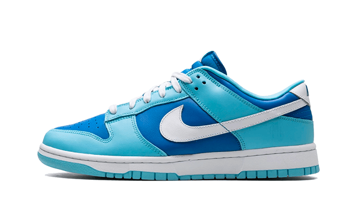 Nike

Dunk Low Argon - MAILLOT DE FOOT PRO