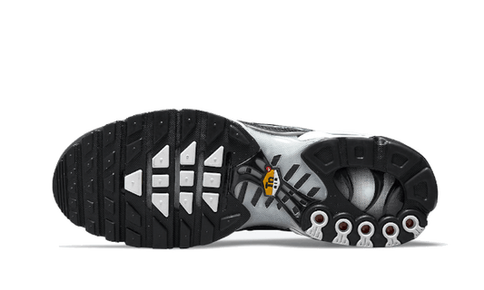 NikeAir Max Plus Tn Seafoam Grey Black - MAILLOT DE FOOT PRO