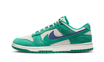 Nike

Dunk Low SE 85 Neptune Green - MAILLOT DE FOOT PRO