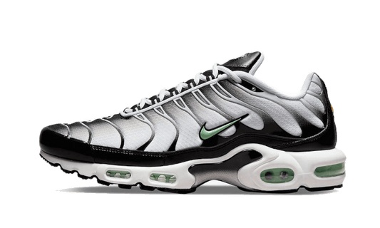 NikeAir Max Plus Tn Seafoam Grey Black - MAILLOT DE FOOT PRO