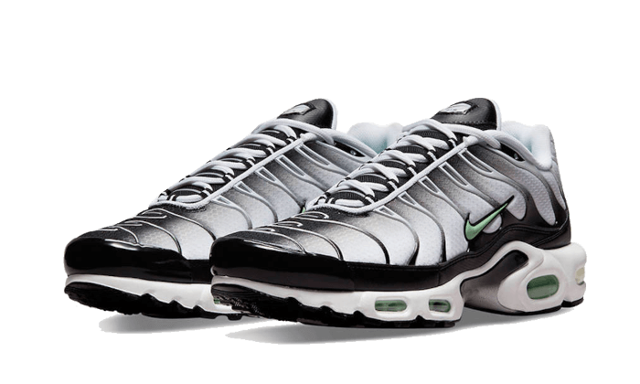 NikeAir Max Plus Tn Seafoam Grey Black - MAILLOT DE FOOT PRO